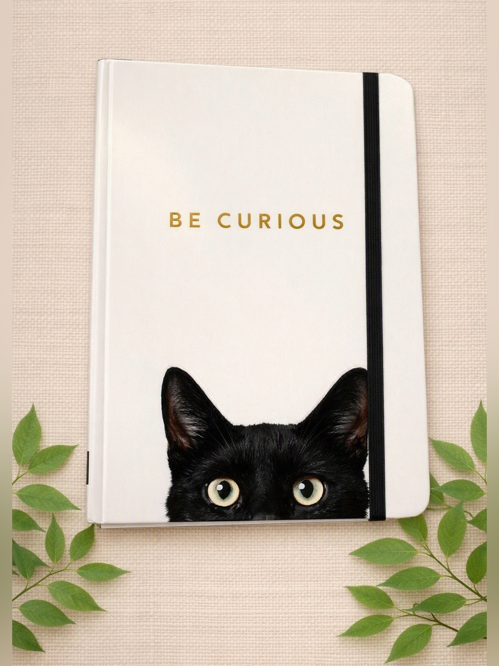 Curious Cat Journal – 160 Lined Pages, Peter Pauper Press